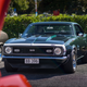 Illustration for article titled New Zealand: Caffeine Classics Photo Dump